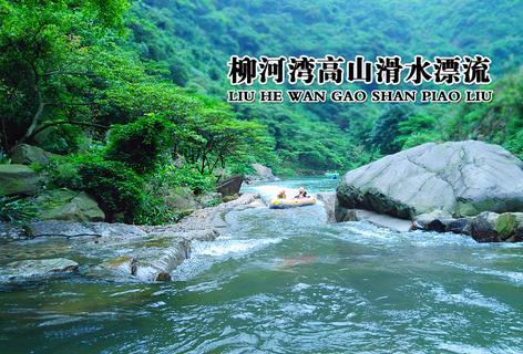 动物帮帮忙保卫家园